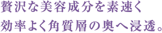 贅沢な美容成分を素速く効率よく角質層の奥へ浸透。
